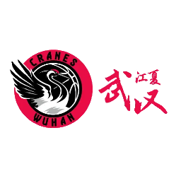 主队图片